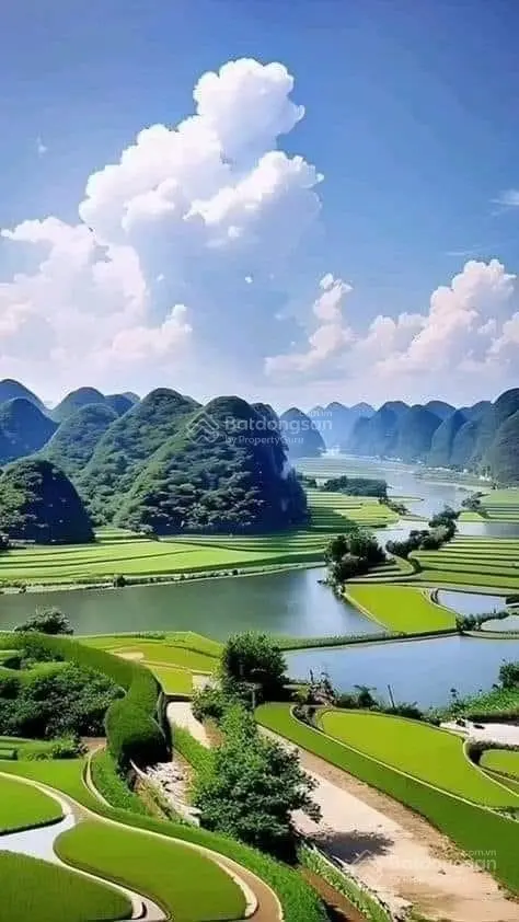 Bán lô đất xã Mỹ Thuận, Tân Sơn, Phú Thọ, view cánh đồng xung quanh hồ đẹp, đang trồng chè thông tứ