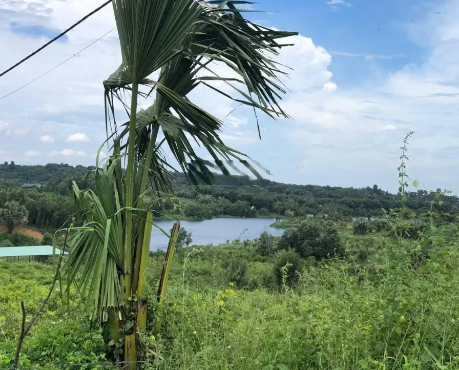 Bán đất xào nghỉ dưỡng siêu đẹp, view hồ suối rao