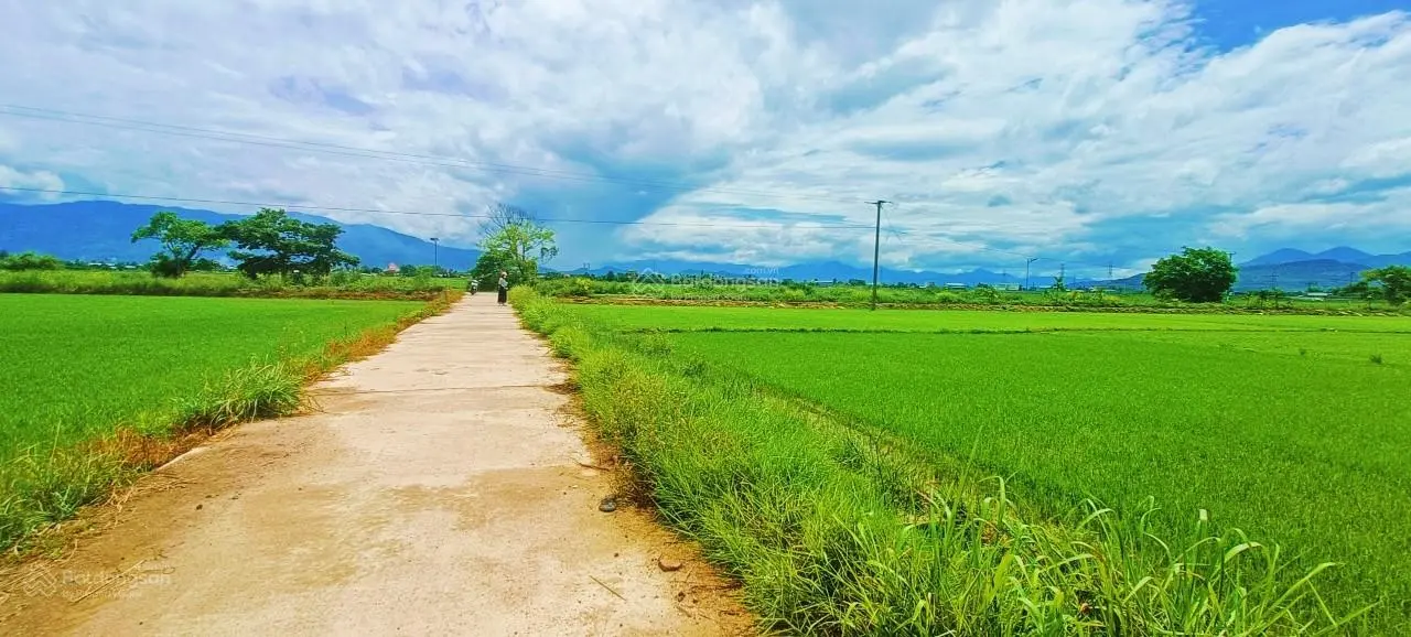 Lô góc đất lúa Diên Toàn - phù hợp đất ở, gần dân cư