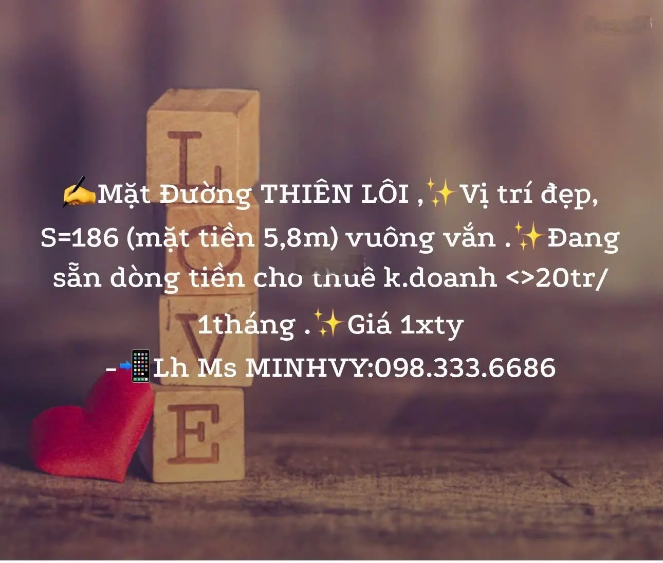 Mặt Đường THIÊN LÔI AOEN Mail-Lê Chân -Hải Phòng