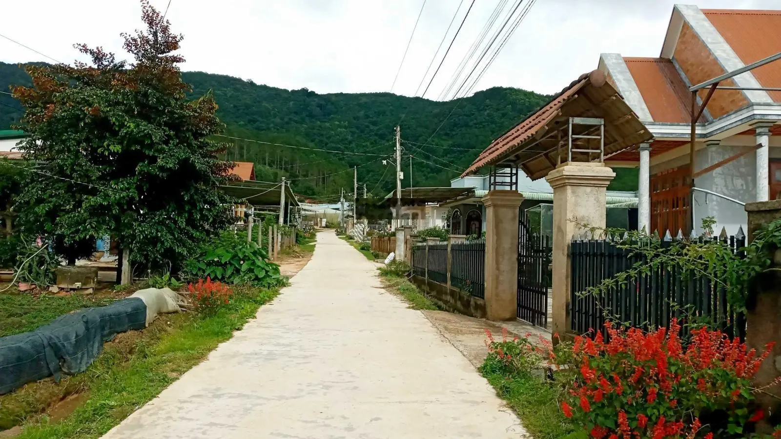 Bán khu đất rộng, thổ cư view đồi thông Châu Sơn, xã Lạc Xuân, Đơn Dương. Giá sỉ