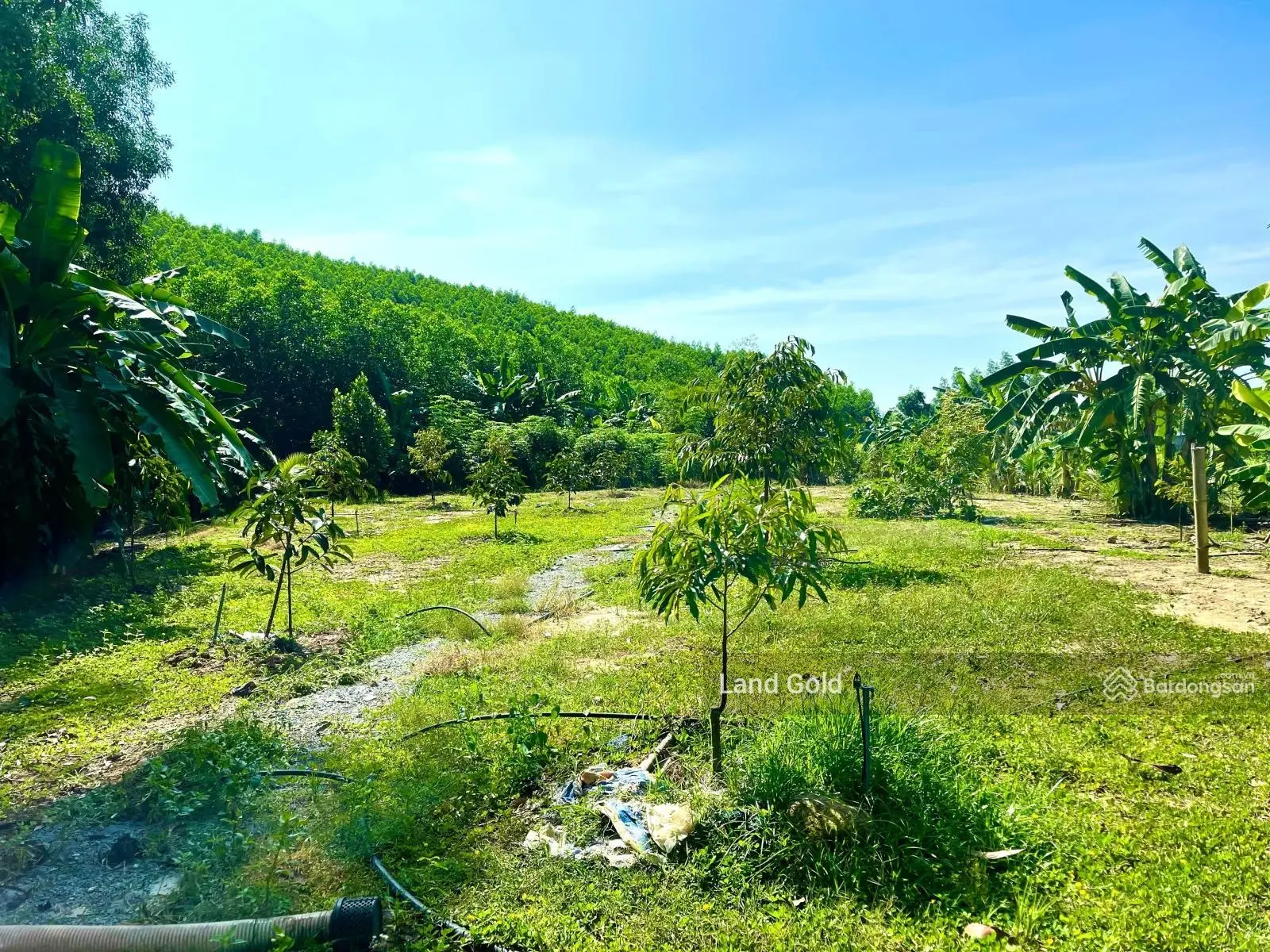 Khánh Trung farm 2700m2 siêu đẹp