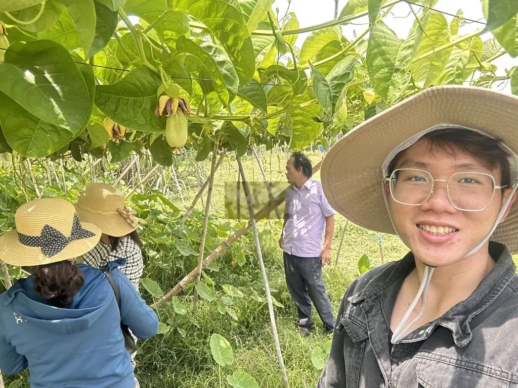 Đất vườn đường lớn-Liền kề KCN Phú Túc và cao tốc Dầu Giây-Liên Khương