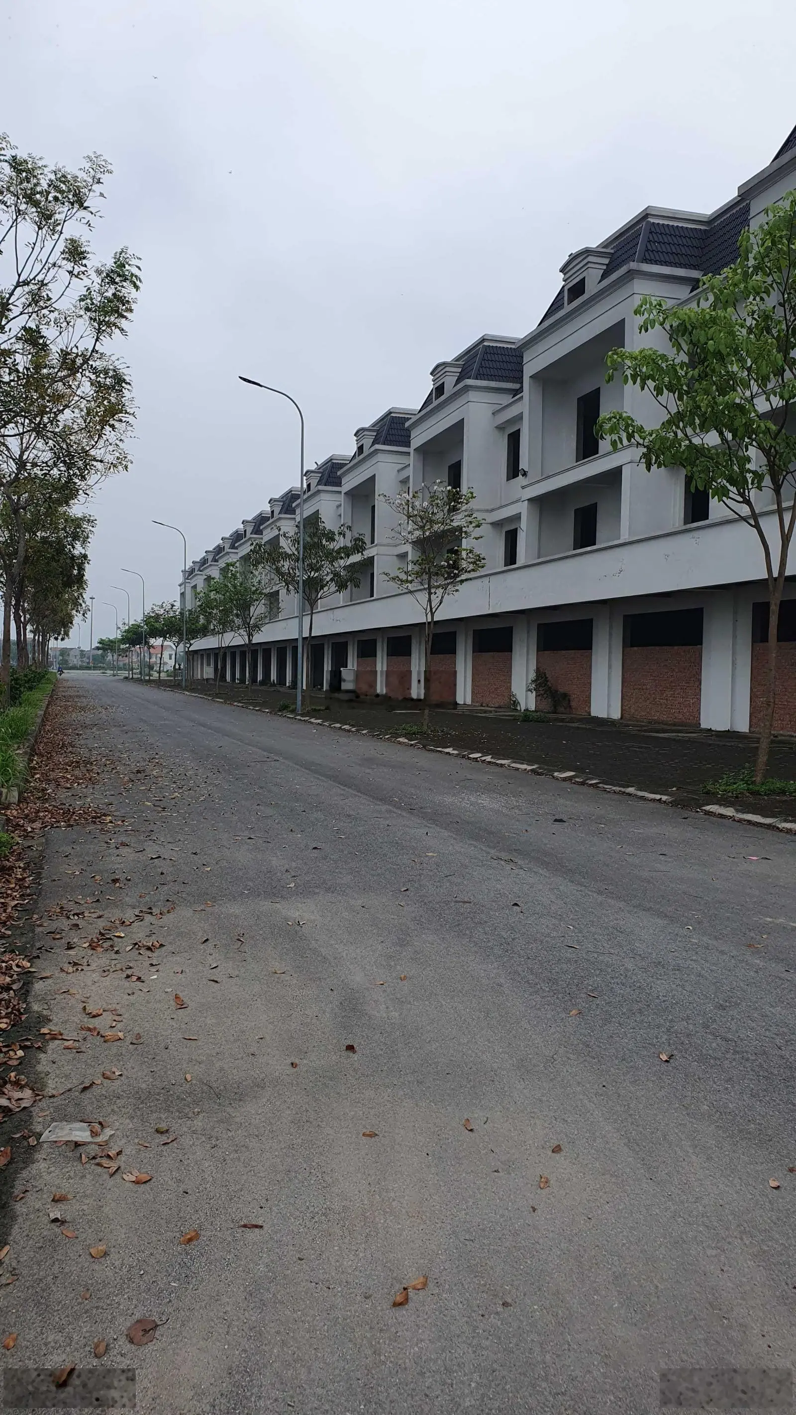 Bán lô biệt thự nhà vườn 132m2, khu dân cư Trần Sơn Đại Lai, huyện Gia Bình, ngay KCN Gia Bình 2