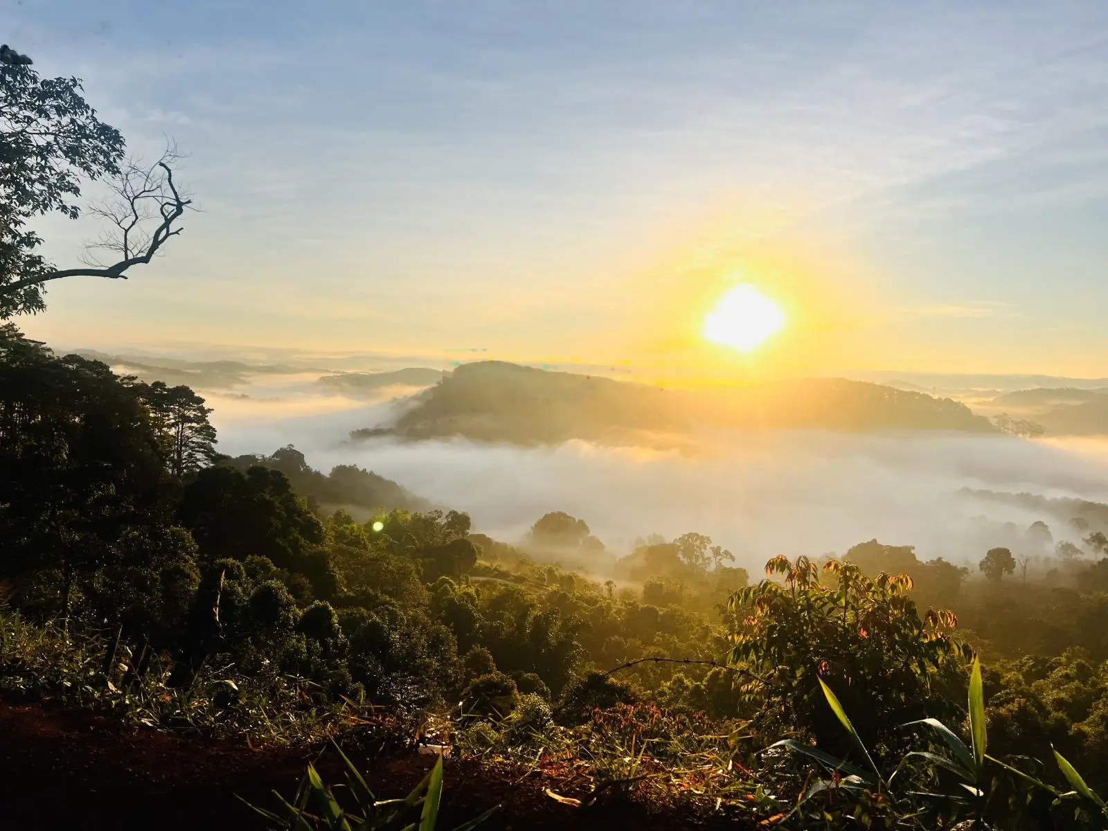 Đất nền trung tâm Thị trấn Măng Đen