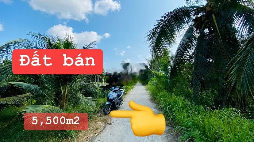 Bán đất 2,2 tỷ, diện tích 5500m2 tại hl173, Xã Phong Nẫm, Huyện Giồng Trôm, Bến Tre