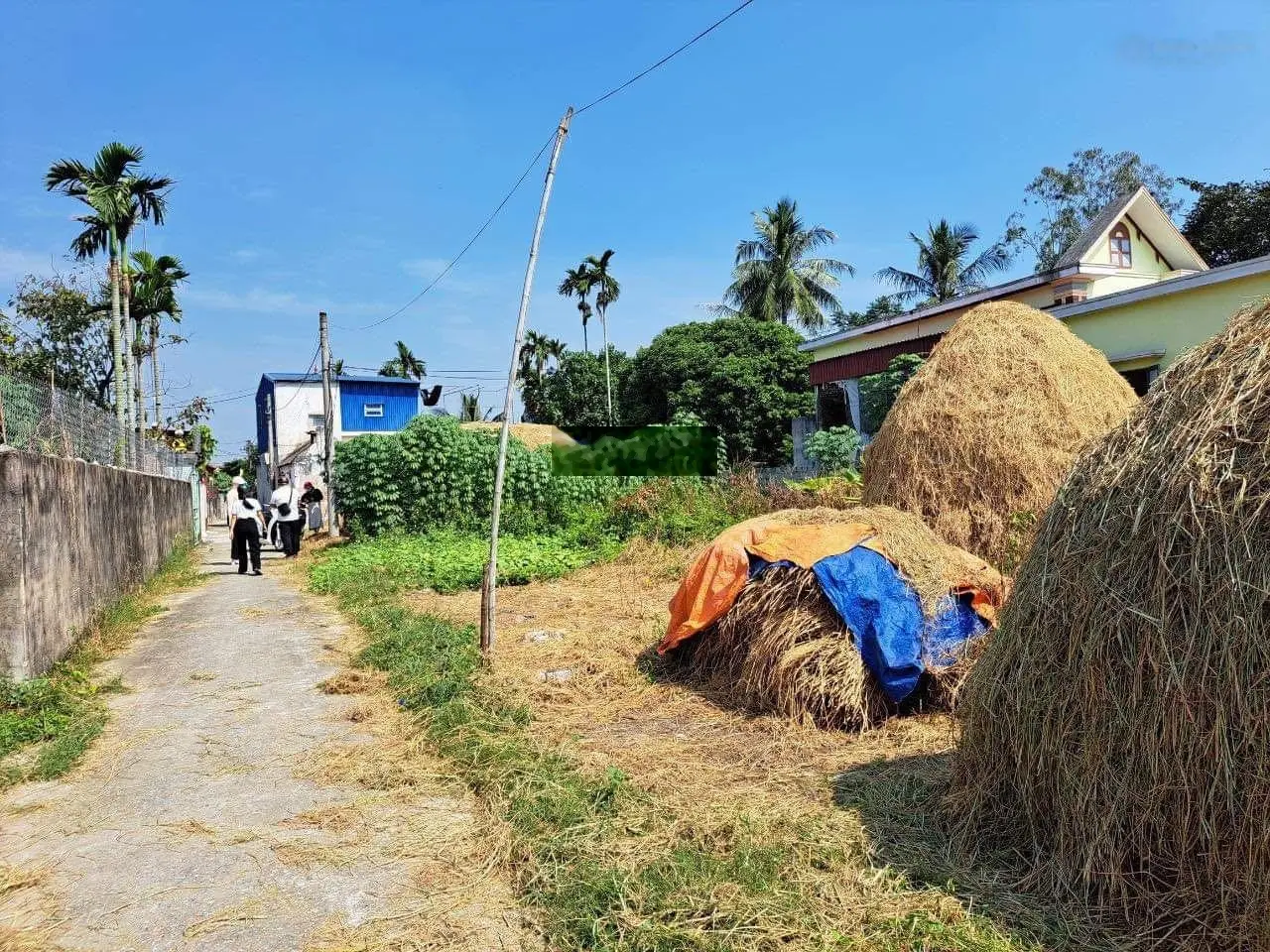 Bán lô đất tại xã Kiến Thiết, Tiên Lãng, Hải Phòng. Diện tích 74m2, giá 500 triệu