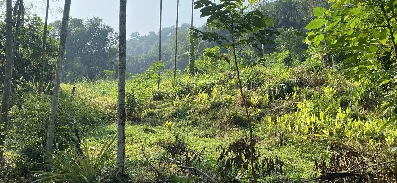 Bán đất siêu hời tại Vân Âm, Ngọc Lặc, Thanh Hóa, 3666m2, pháp lý đầy đủ