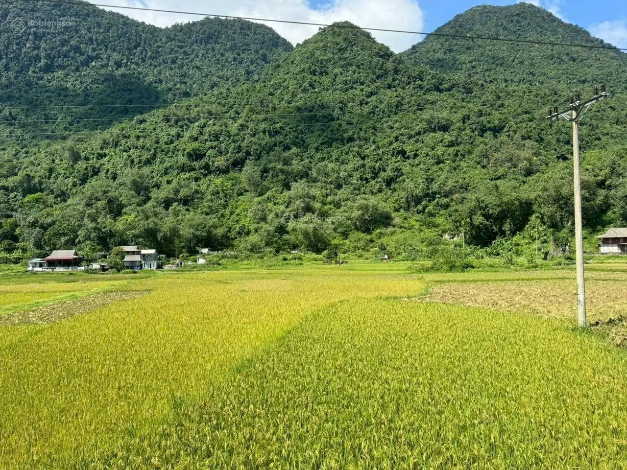 800m Phú Cường Tân Lạc chỉ 320tr sát vách khu du lịch homestay, LH 0983 465 ***