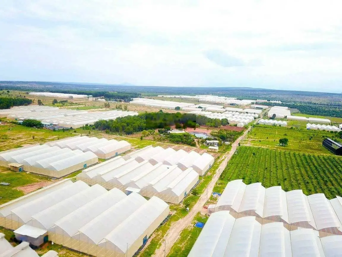 Cực phẩm đất làm Farm Xã Hòa Thắng 7163.4m2, cách biển 15p, làm Farm hay phát triển du lịch đều đẹp