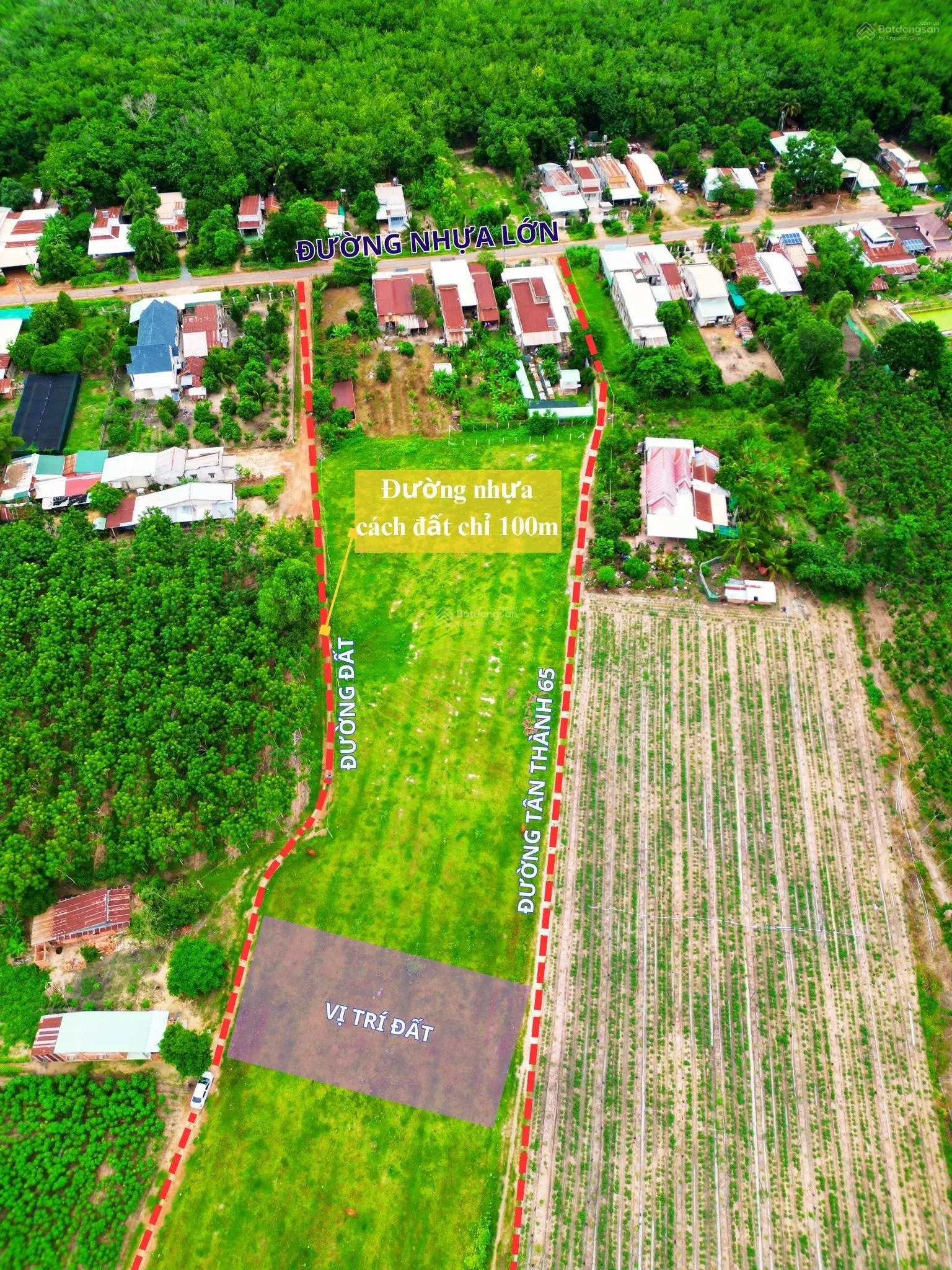 Bán đất Xã Tân Thành, huyện Tân Châu, Tây Ninh