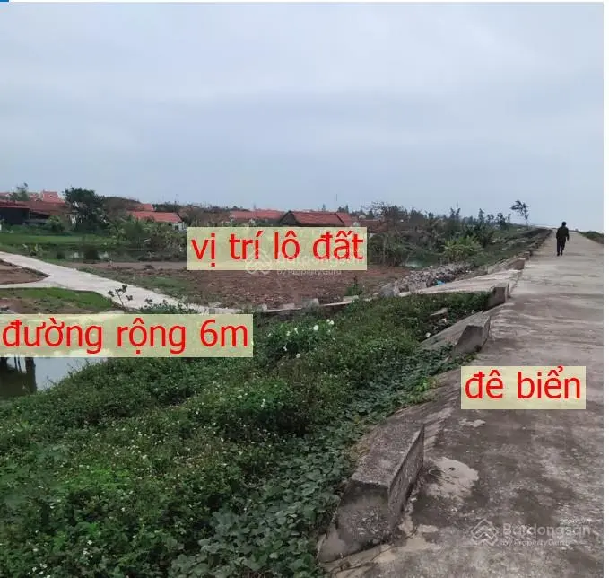 Bán 1.260m2 đất mặt đê biển Hải Triều, Hải Hậu, Nam Định