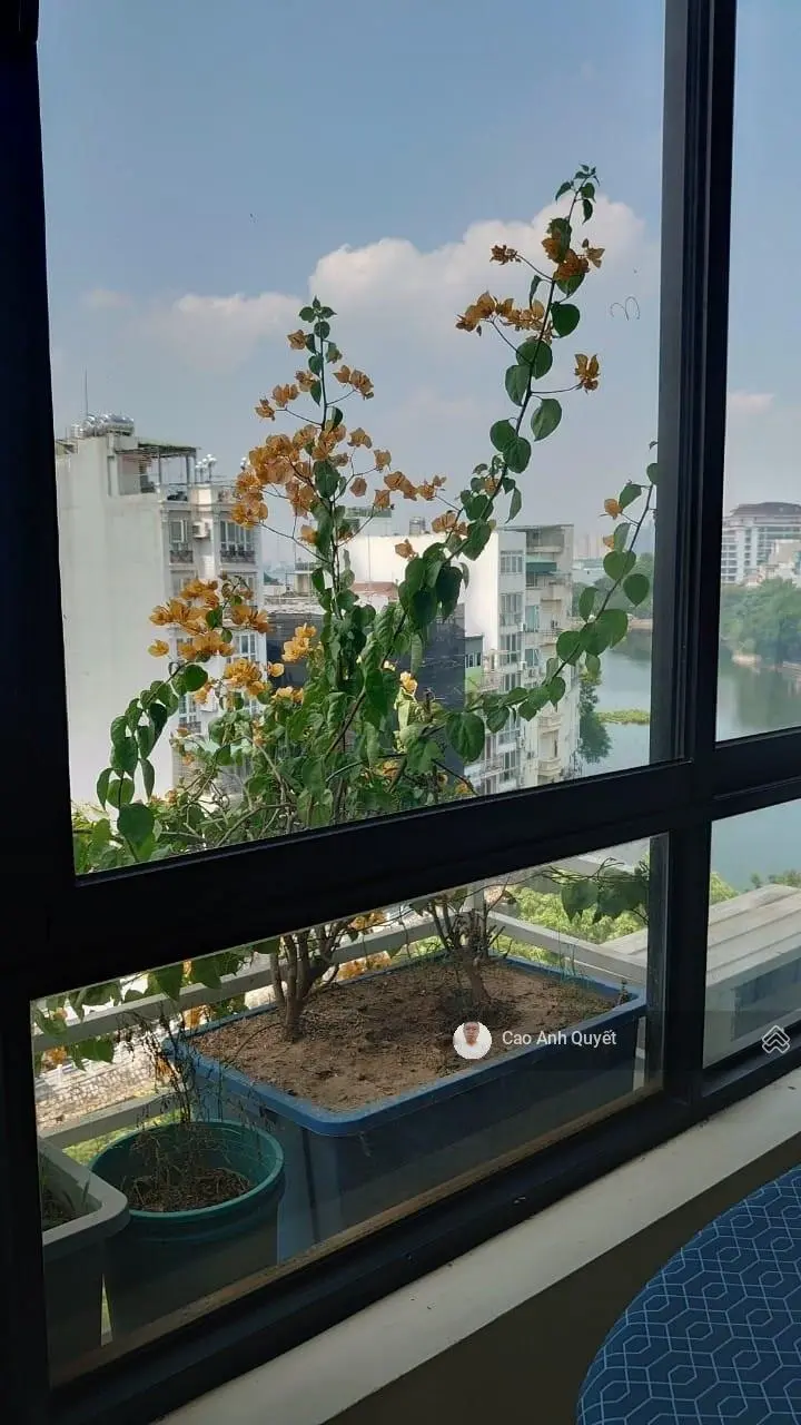 Bán Nhà MẶT PHỐ Quận Ba Đình VIEW HỒ 120m9T 2 THOÁNG 68 Tỷ Trúc Bạch.