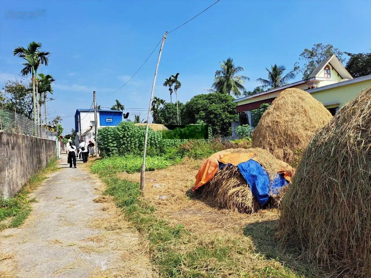 Bán lô đất tại xã Kiến Thiết, Tiên Lãng, Hải Phòng. Diện tích 74m2, giá 500 triệu