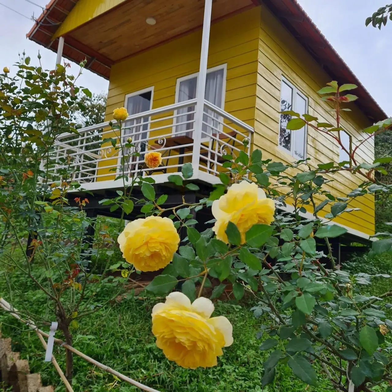 Bán khu homestay vườn hồng đang hoạt động, sức chứa 50 khách đầy đủ tiện nghi thoải mái