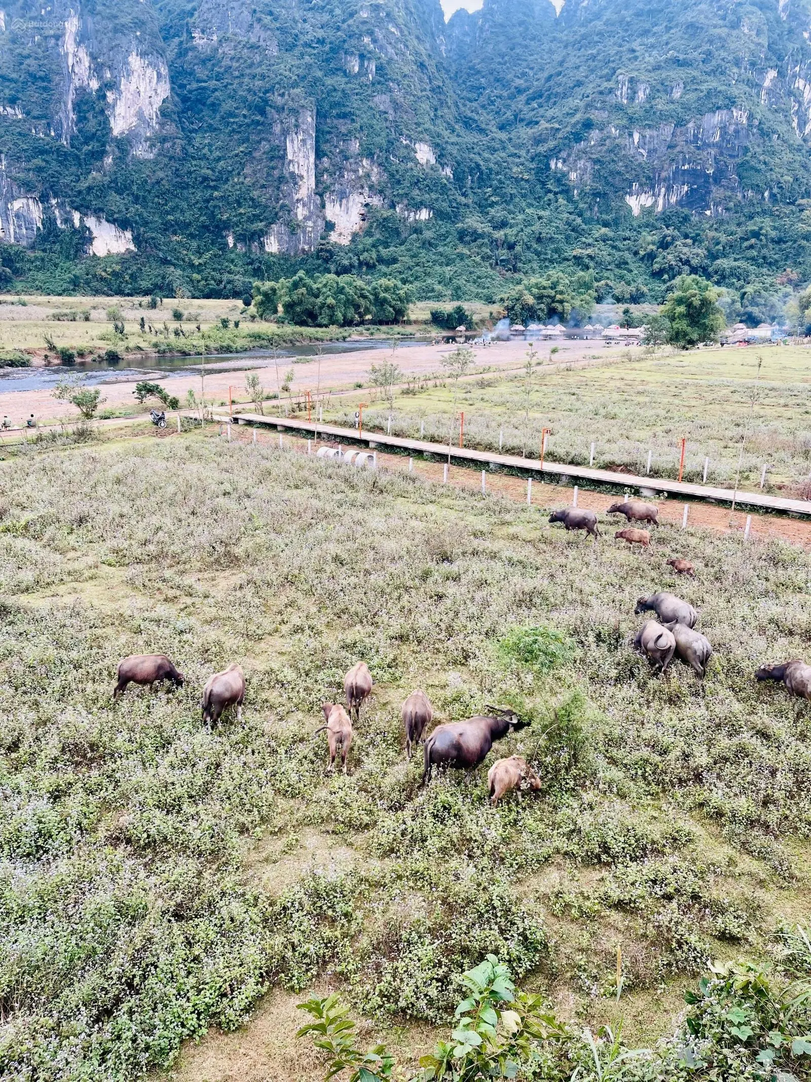 Cần sang nhượng homestay đang kinh doanh Kim Bôi, Hoà Bình, diện tích 3000m2 đang kinh doanh