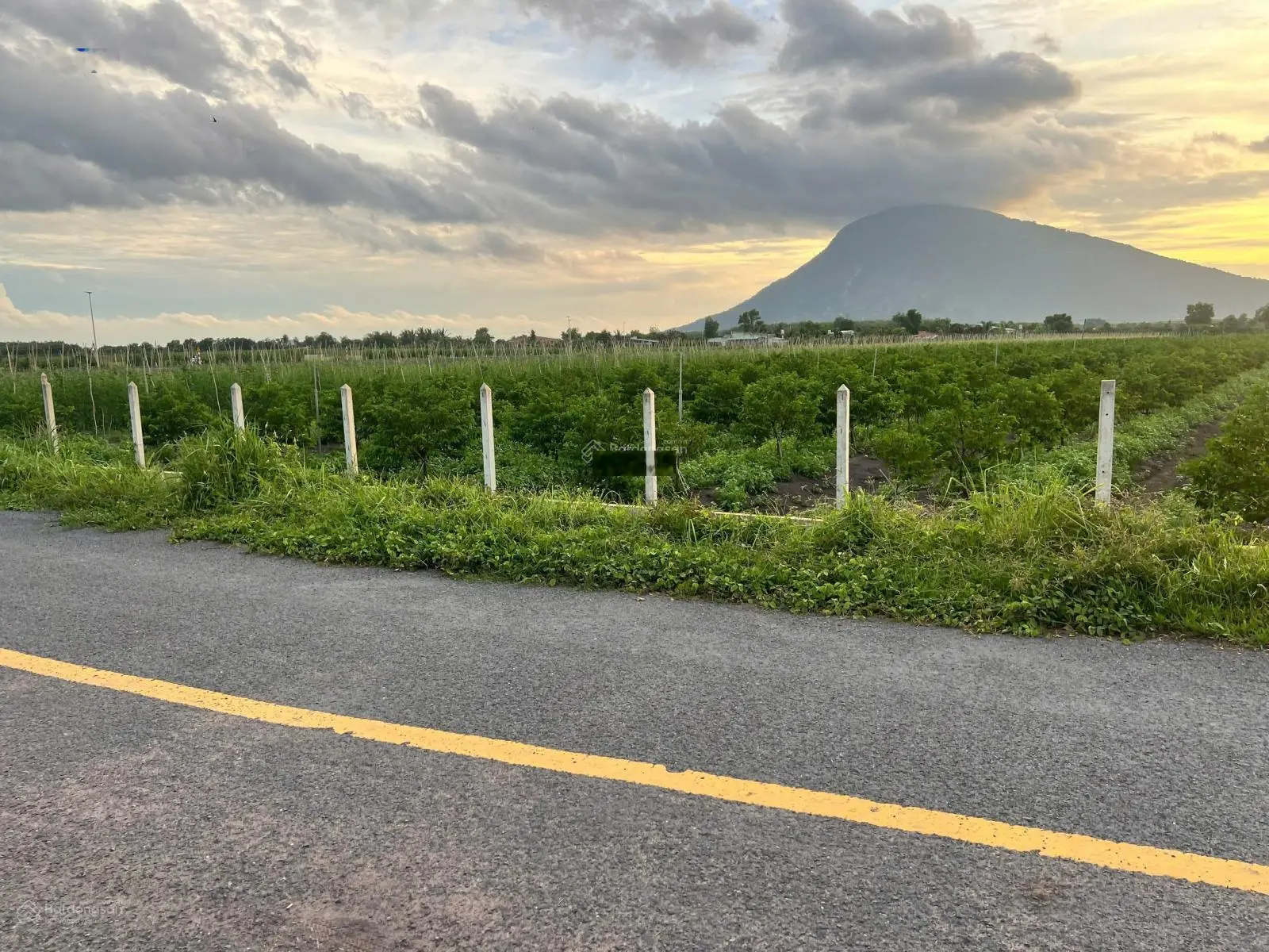 Cần thanh lí vài lô gần khu du lịch núi Bà, Tây Ninh, diện tích 200m2 giá 300 triệu, sổ hồng riêng