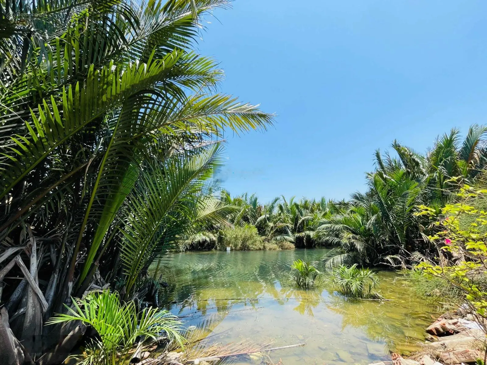 Chính chủ cần bán đất view sông trung tâm Hội An