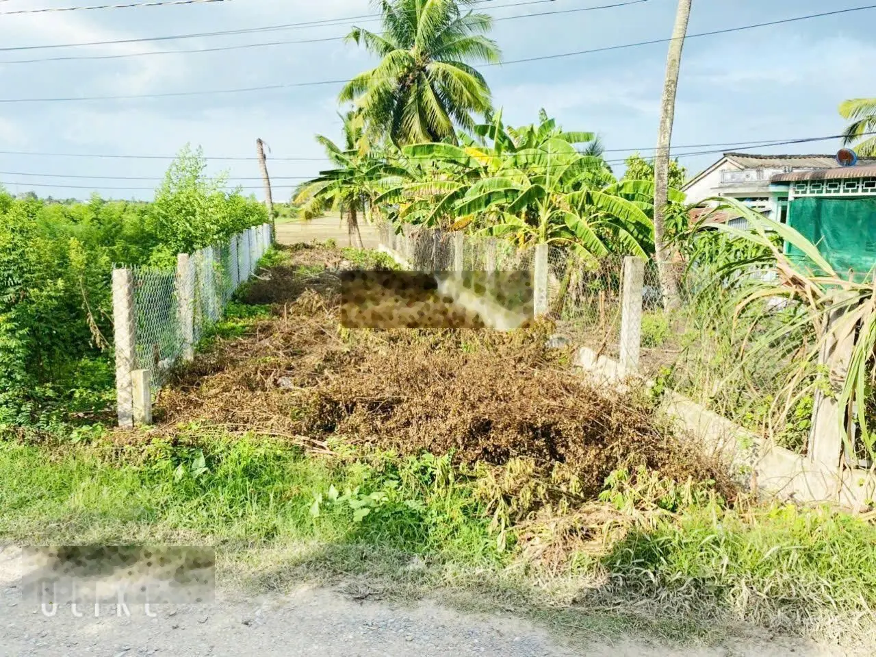 Bán đất chính chủ khu dân cư đông Tân Trụ, Long An thuận tiện đầu tư