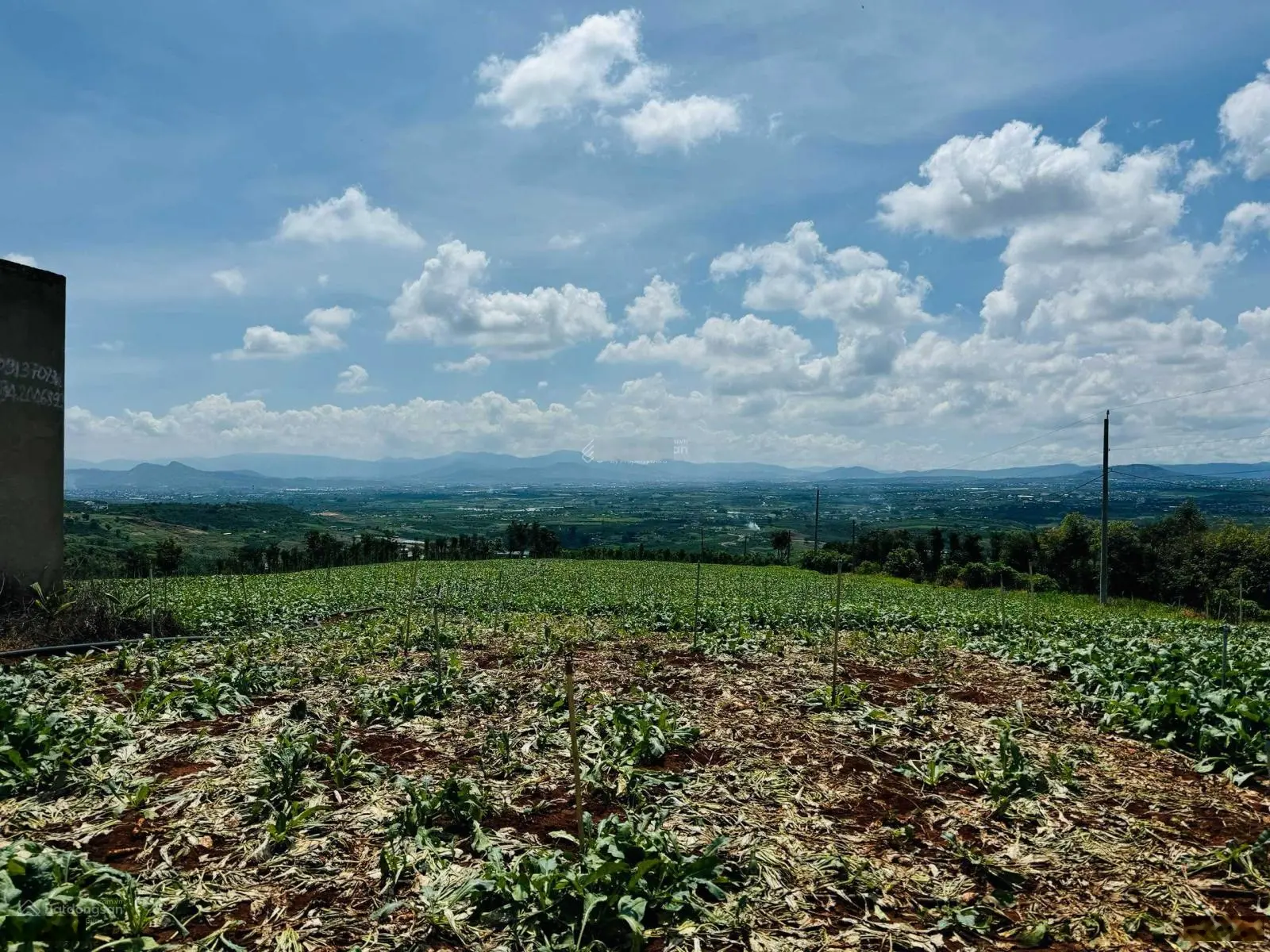 Sở hữu ngay đất Tân Hà, Lâm Đồng - giá chỉ từ 839 triệu, view đẹp, diện tích rộng