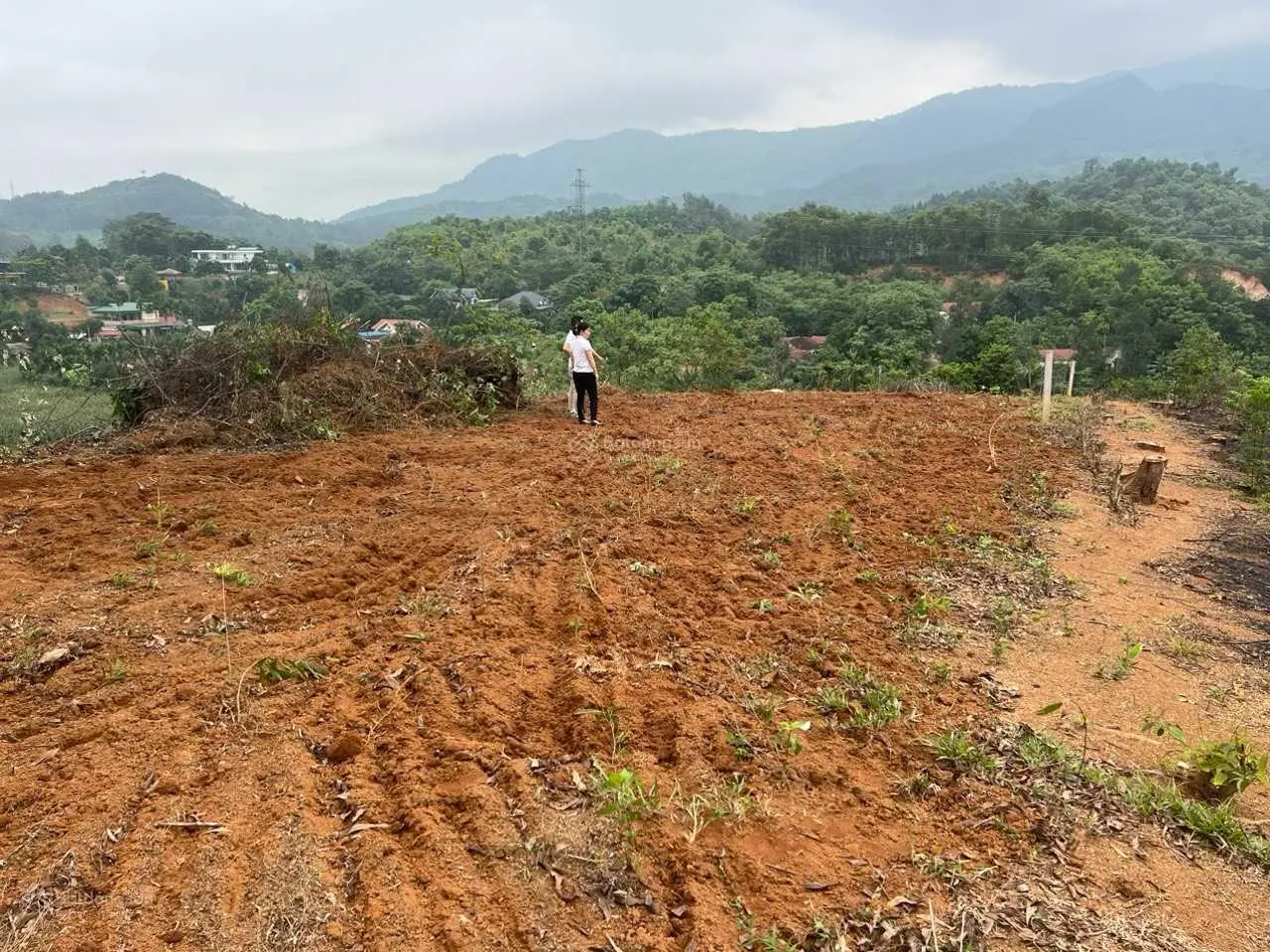 Bán nhanh lô đất tại thôn Liên Bu, Minh Quang, Ba Vì diện tích 2300m2 giá hợp lý view núi tuyệt đẹp