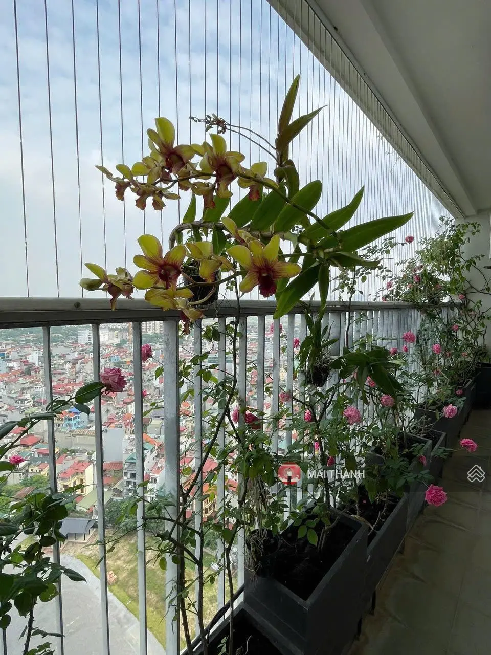 Em cần bán Căn hộ penthouse 3 măt thoáng view hồ Tây 180.8m2 tại Kosmo Tây Hồ, lh 0775 190 ***