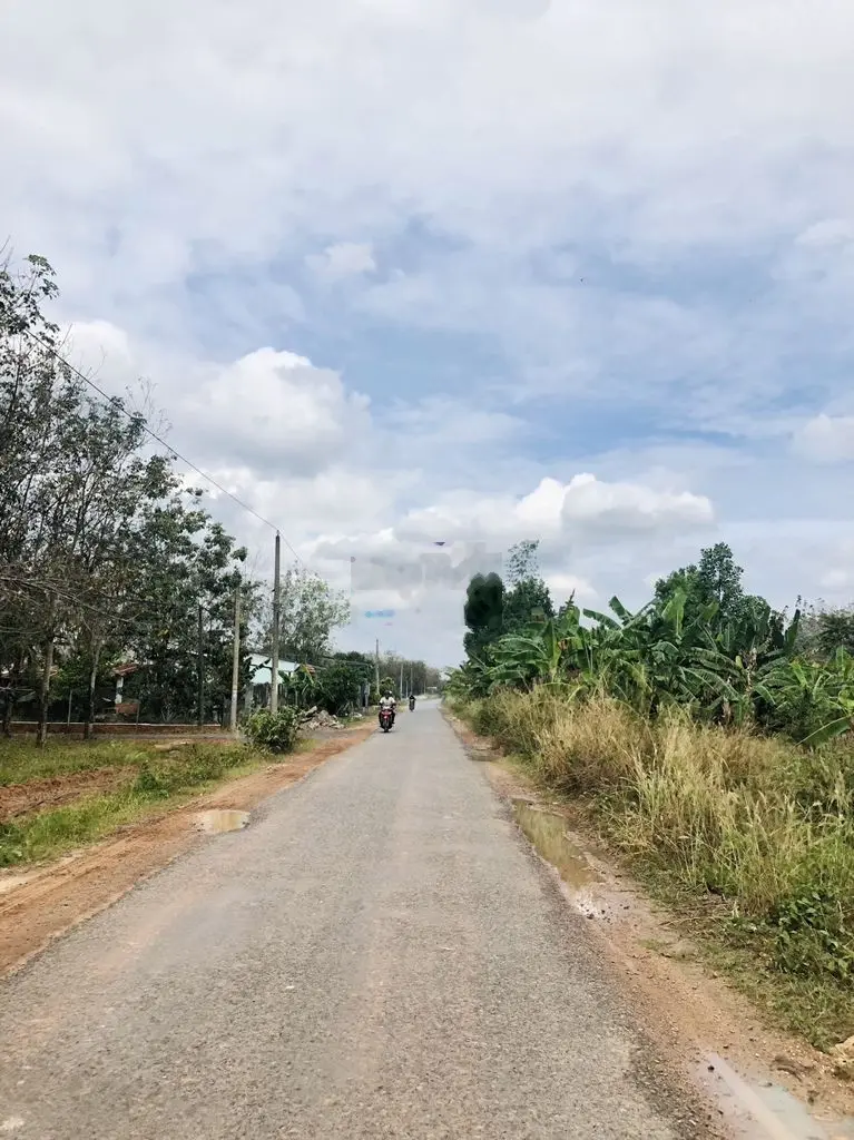 ĐẤT CÔNG RỘNG RÃI, GẦN NHỰA, VƯỜN SẦU RIÊNG TẠI CHÂU THÀNH, TÂY NINH