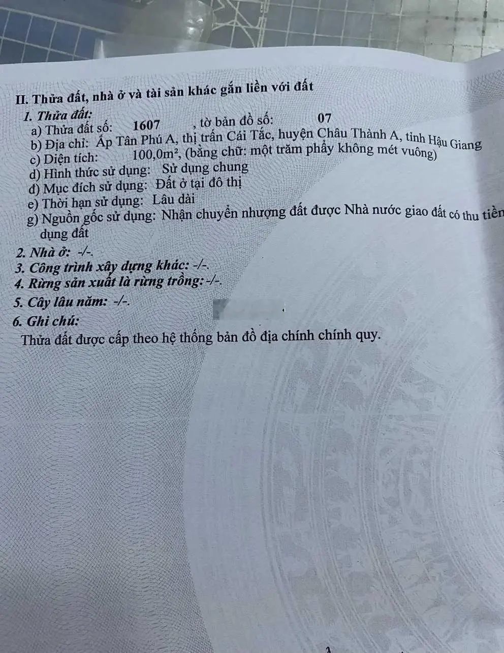 Nền thổ cư Đường số 8 KDC Vạn Phát Cái Tắc dãy đối diện nhà lồng chợ nội khu, cách chợ Cái Tắc 300m