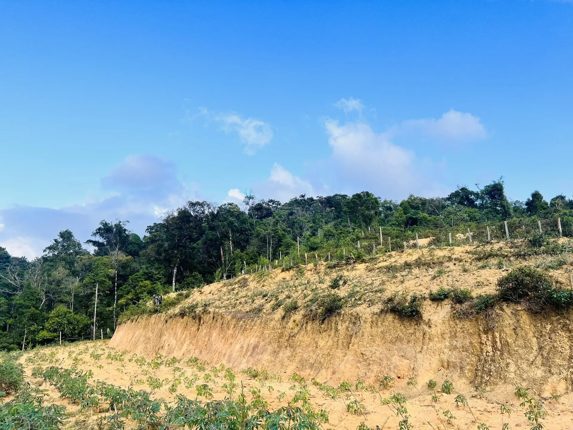 Bán đất Măng Đen, Kon Plông, Kon Tum. Cách TT chỉ 3km, giáp rừng, view suối