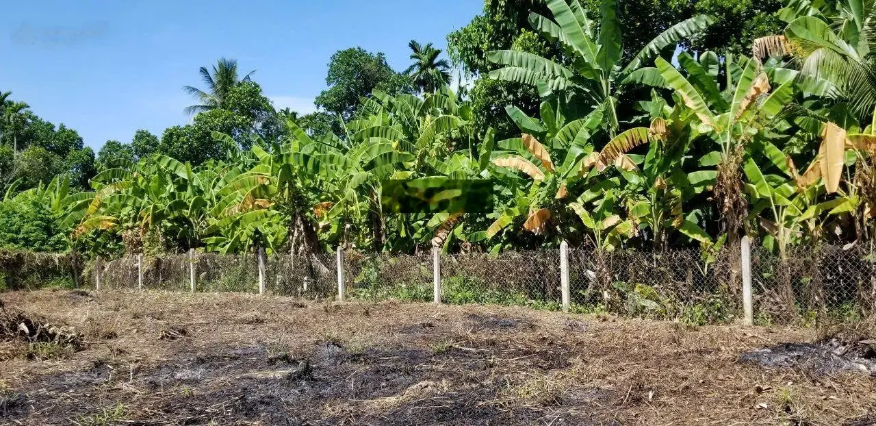 Bán lô đất giá đầu tư, gần Đường Võ Nguyên Giáp tại Diên An, Diên Khánh, Khánh Hòa