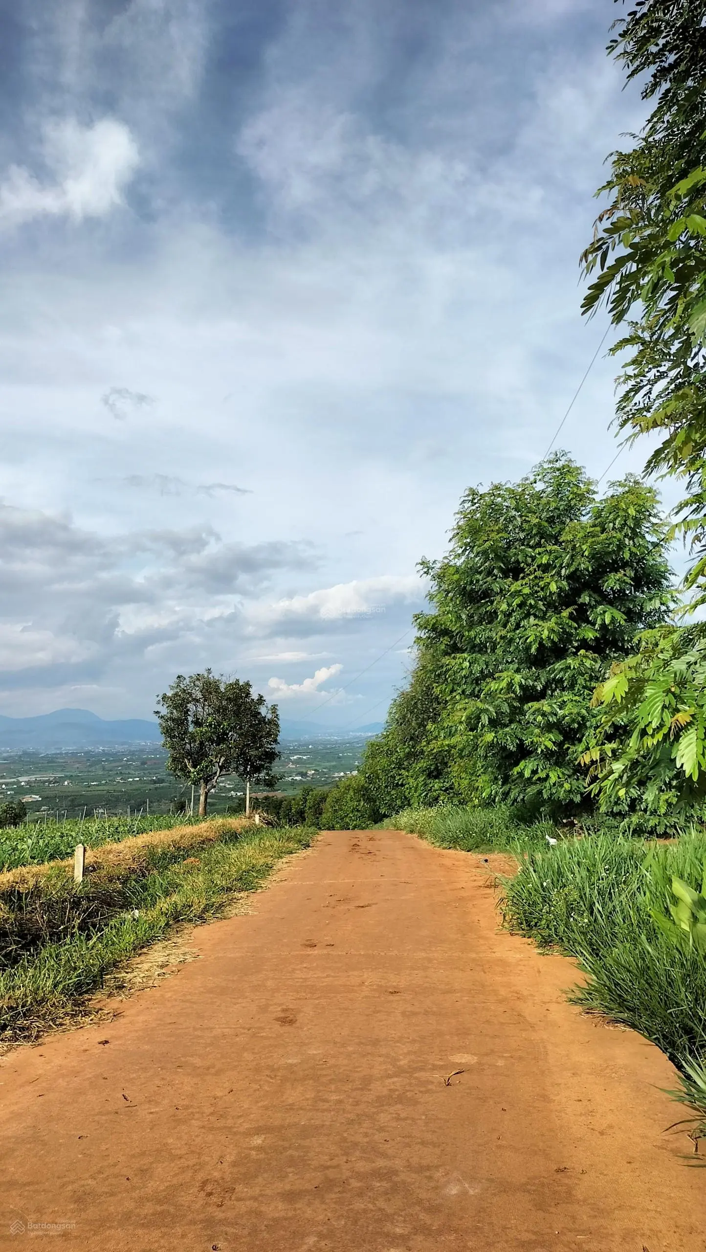 Sở hữu ngay đất Tân Hà, Lâm Đồng - giá chỉ từ 839 triệu, view đẹp, diện tích rộng