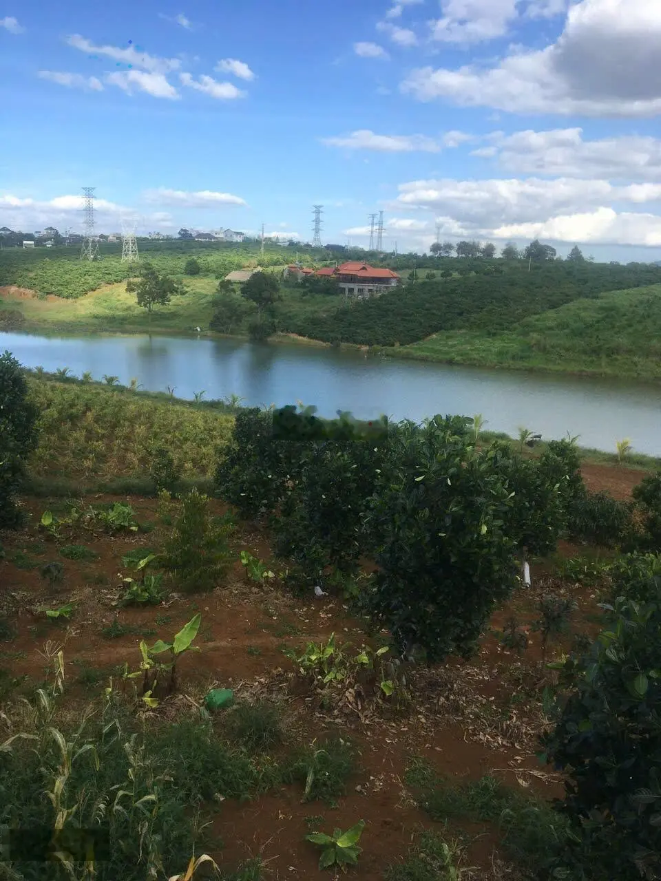 Cần bán đất view hồ Tây, Di Linh. Có thể thương lượng