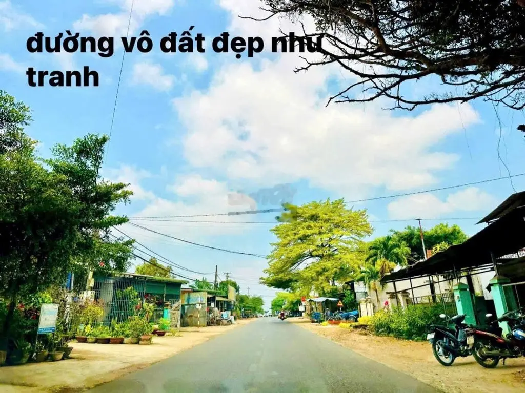 Bán ĐấT Lô nền Quy Hoạch ĐấT Ở Mặt Tiền Bê Tông