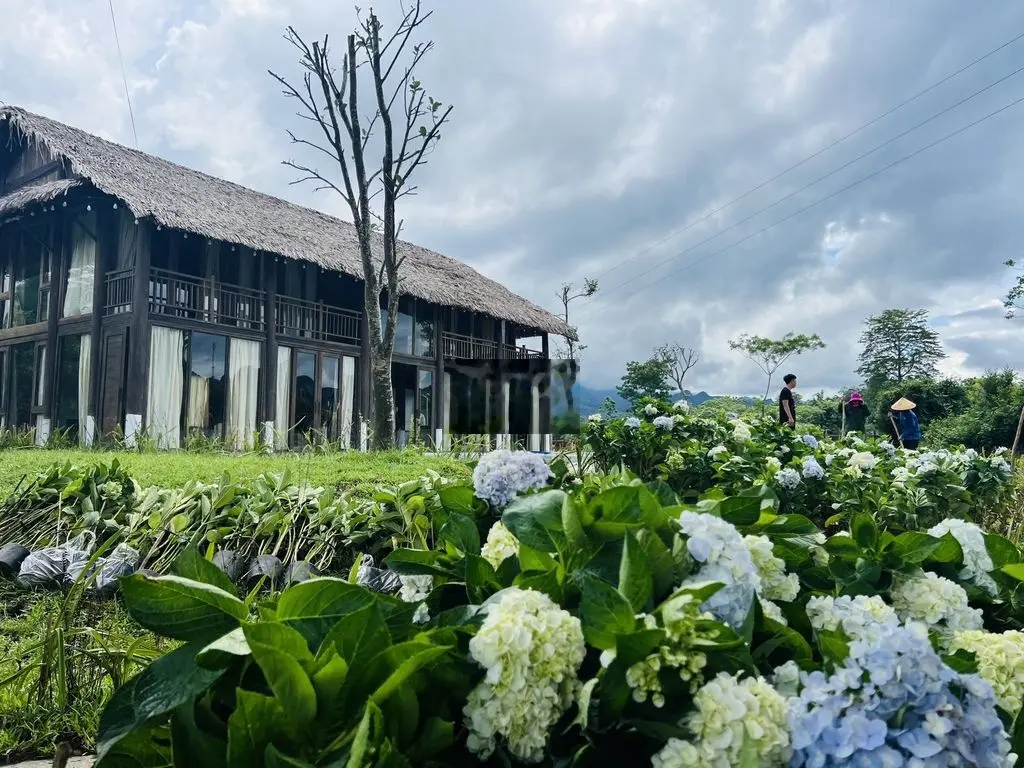 Bán nhà vườn tiện nghi 2285M tại Hợp Phong Cao Phong HB chỉ 2,3 tỷ