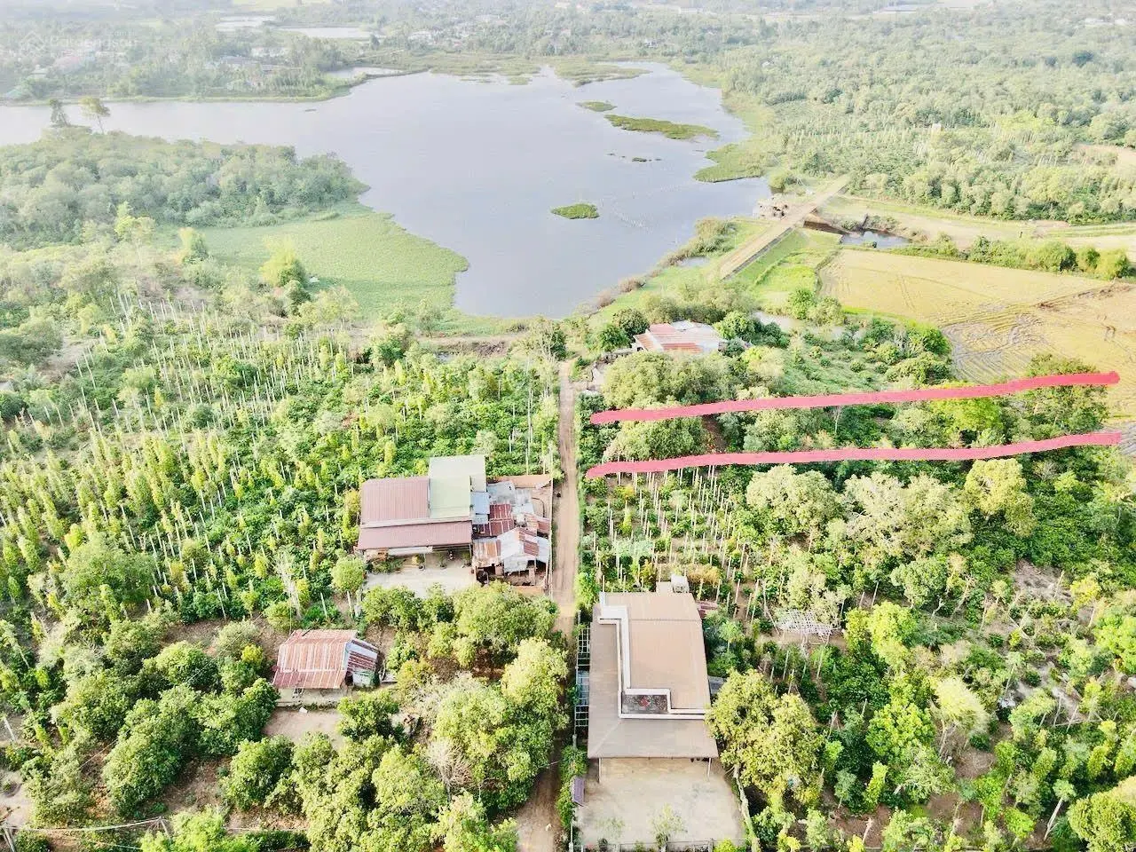 Bán lô đất view hồ & cánh đồng thơ mộng DT 10*77m sẵn 160m2 thổ cư chỉ 6xxtr làm nhà vườn bao xịn