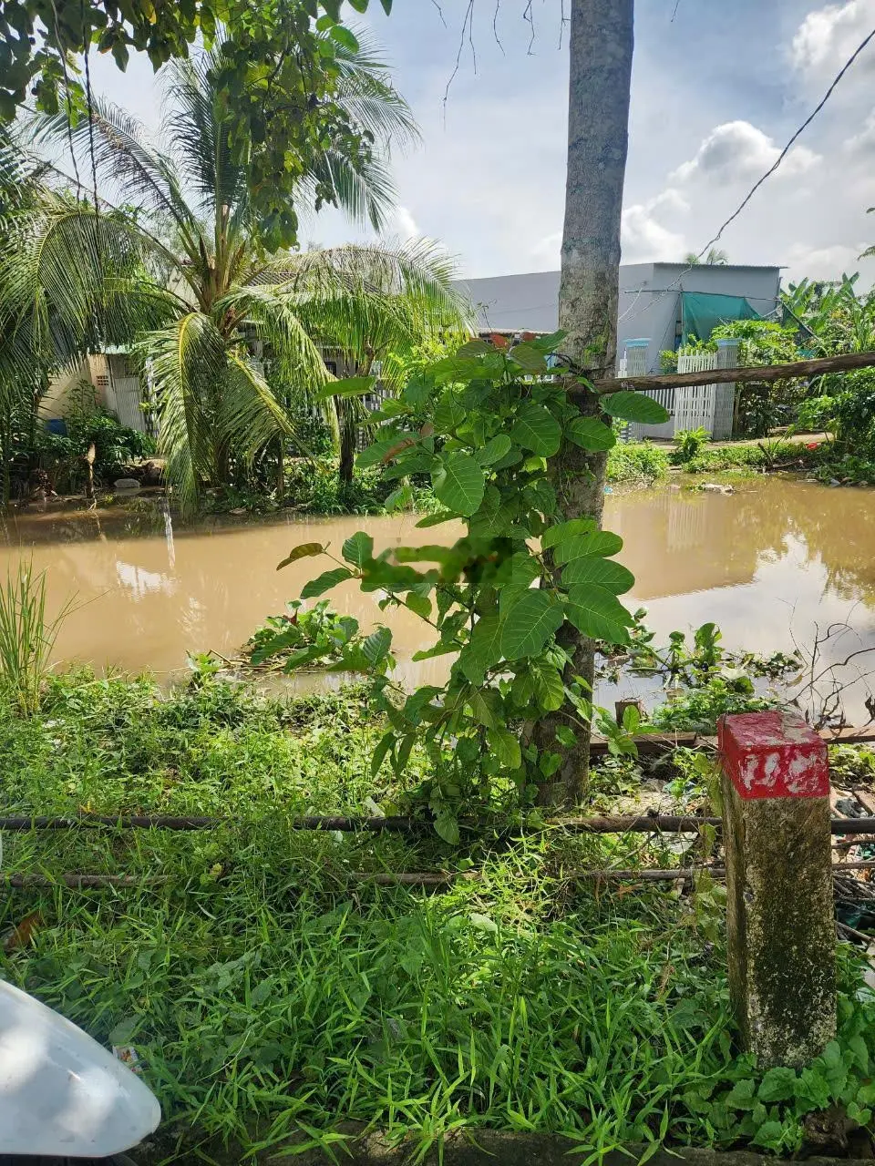 Bán nền đường Vườn Mận gần bệnh viện Nhi ĐH FPT, khu dân cư đông đúc, view sông mát mẻ