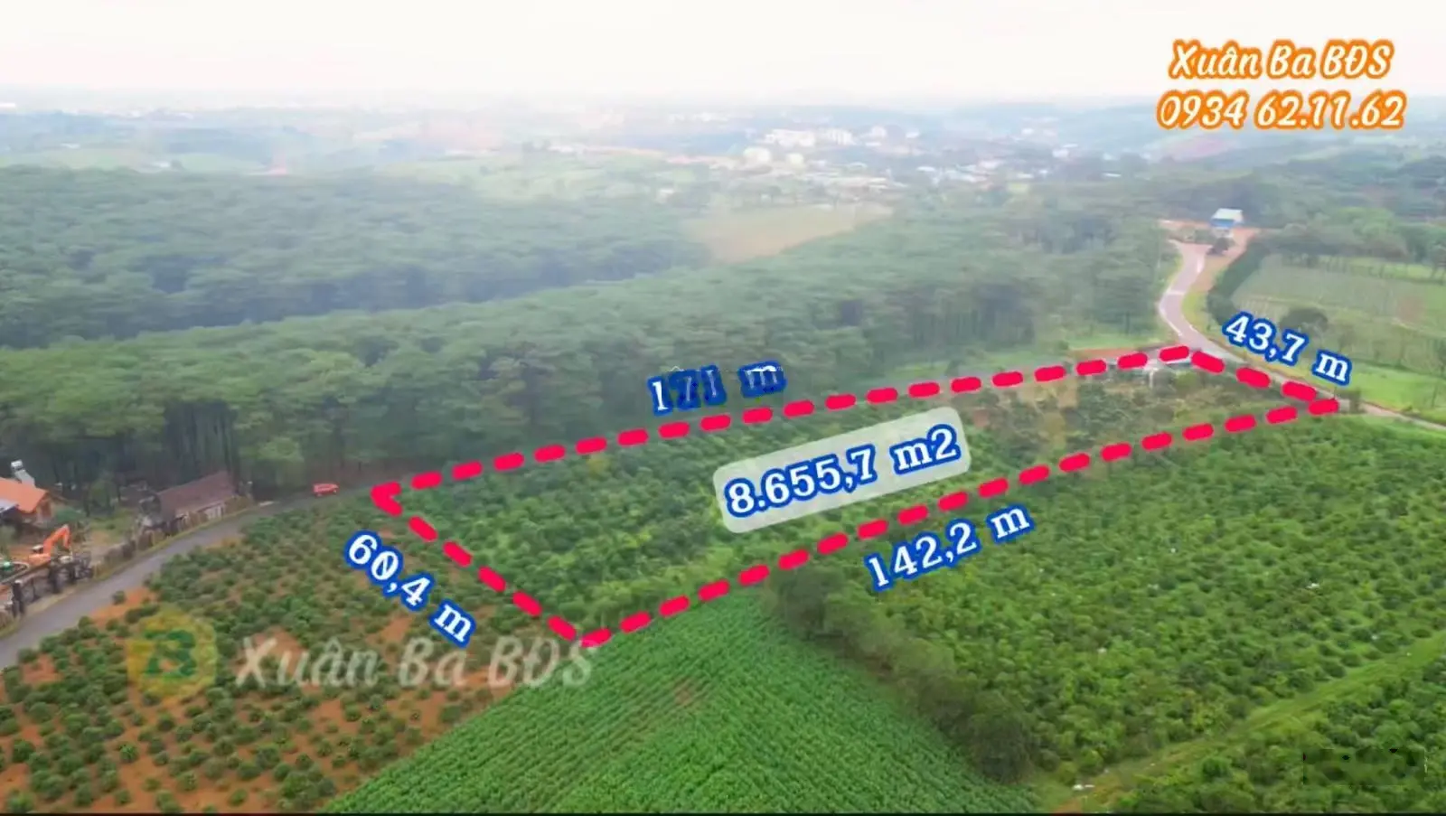 Chỉ 2,3 tỷ/1.000m2 đất siêu đẹp view rừng thông và đồi chè Tâm Châu Bảo Lộc