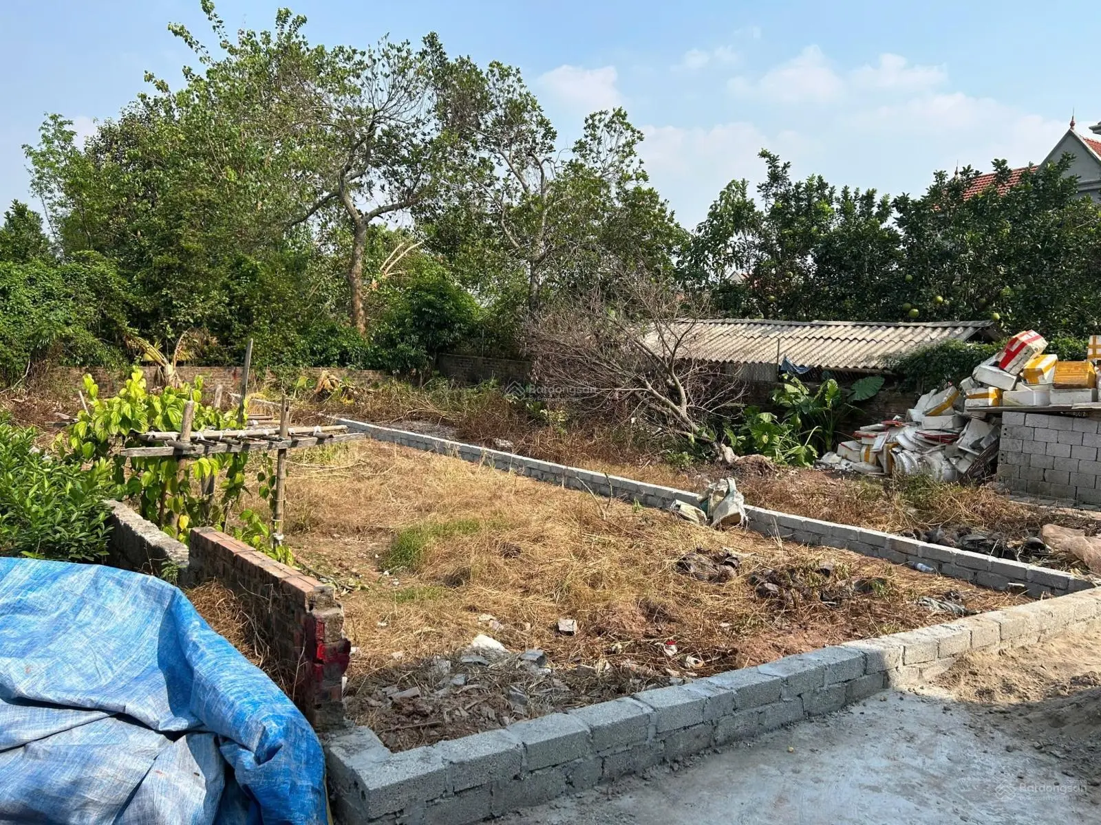 Bán nhanh 109,2m2 Liên Nghĩa - Văn Giang đường ô tô vào thoải mái chỉ 2x triệu/m2, đất ở 100%