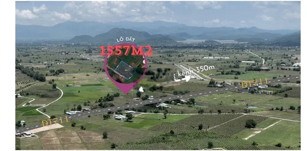 1557m2 đất sát ĐT711 quy hoạch ONT giá tốt chỉ 450tr đây Quý vị