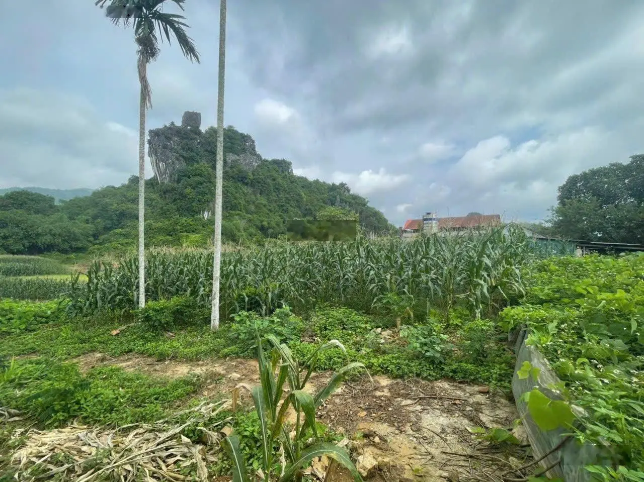 Bán đất nhà ở tại Cao Dương, view núi đá 2000m