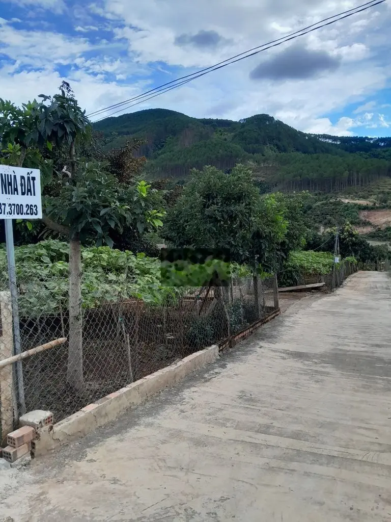 CẦN BÁN LÔ ĐẤT TẠI Thanh Trì, Xã Đông Thanh, Huyện Lâm Hà, Lâm Đồng