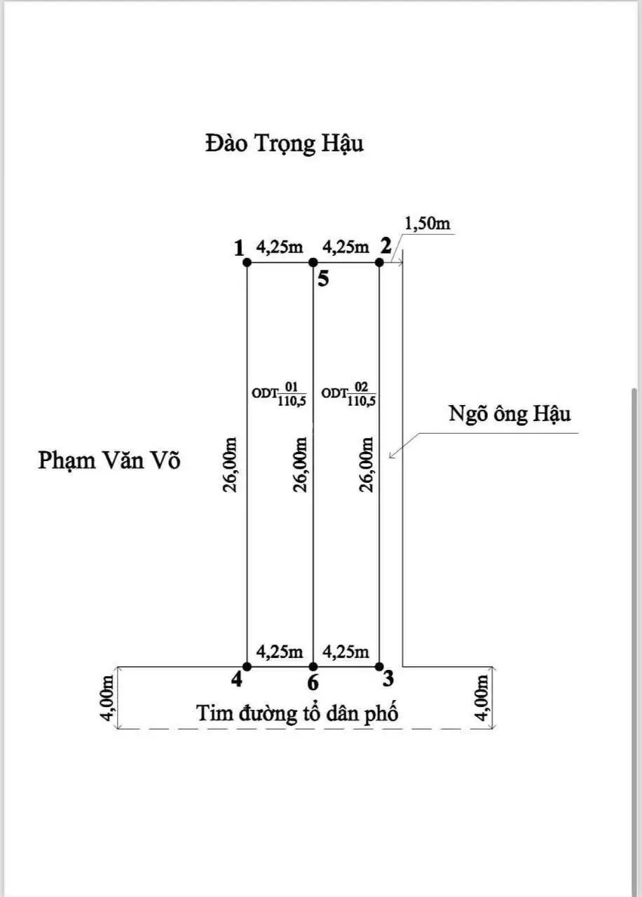 Chính chủ gửi bán lô mặt đường Sông He, Dương Kinh, Hải Phòng. Lô đất đẹp 110m2 ngang 4,25m