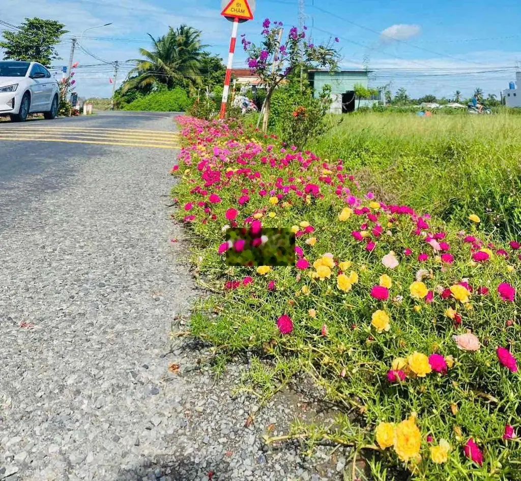 Mặt nhựa góc Hà Văn Sáu và Nguyễn Thị Lầu. Đất thổ