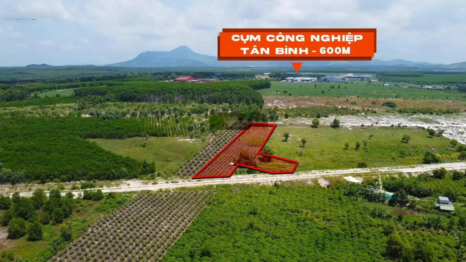 Bán đất đầu tư 27x175m, CLN, MT kênh sông Dinh 3, giá 1.1 tỷ, Tân Bình,La Gi