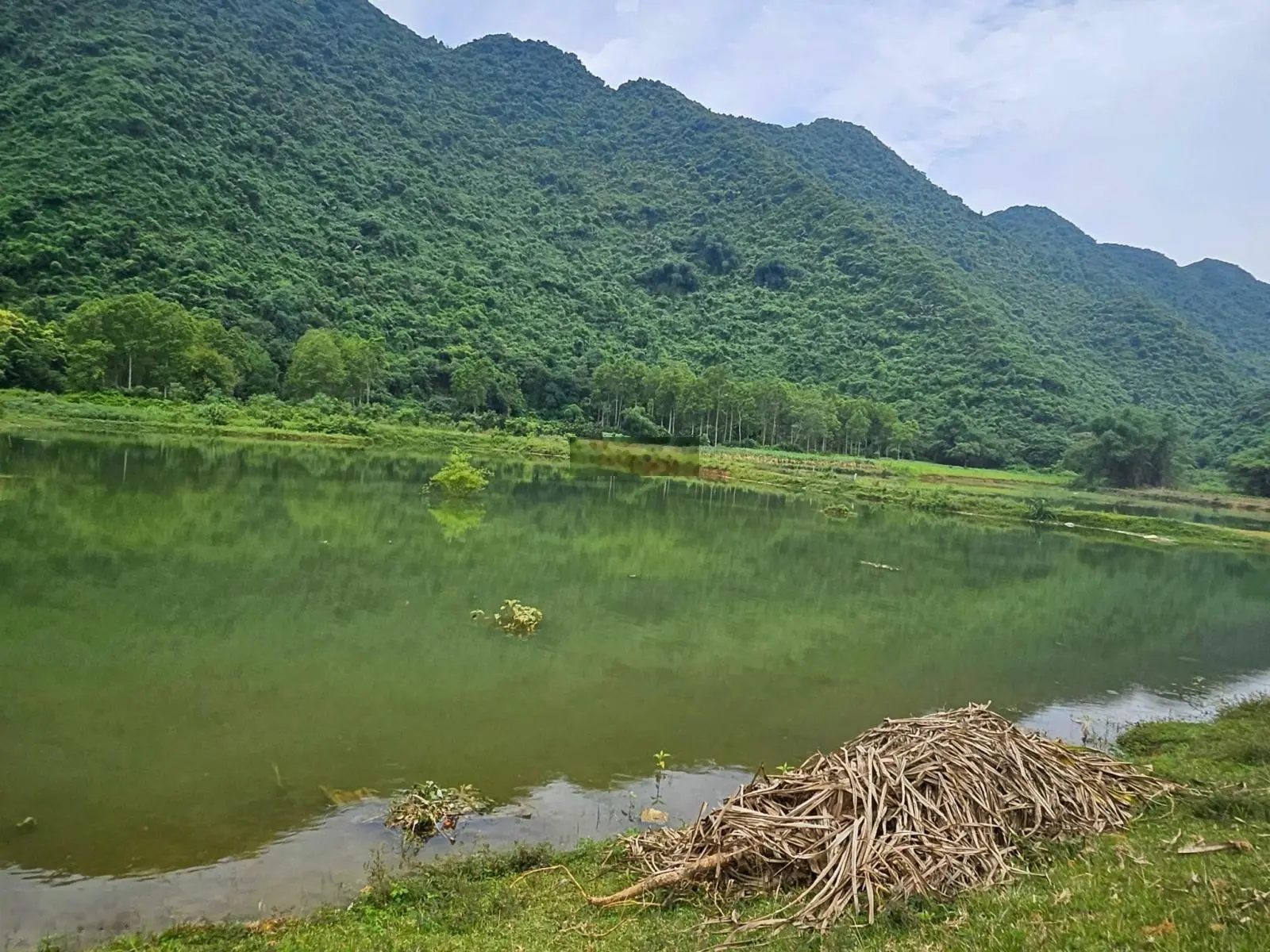 Bán đất lô góc, view hồ tại Yên Thủy, Hòa Bình. Diện tích 2000m2, giá 1,7 tỷ