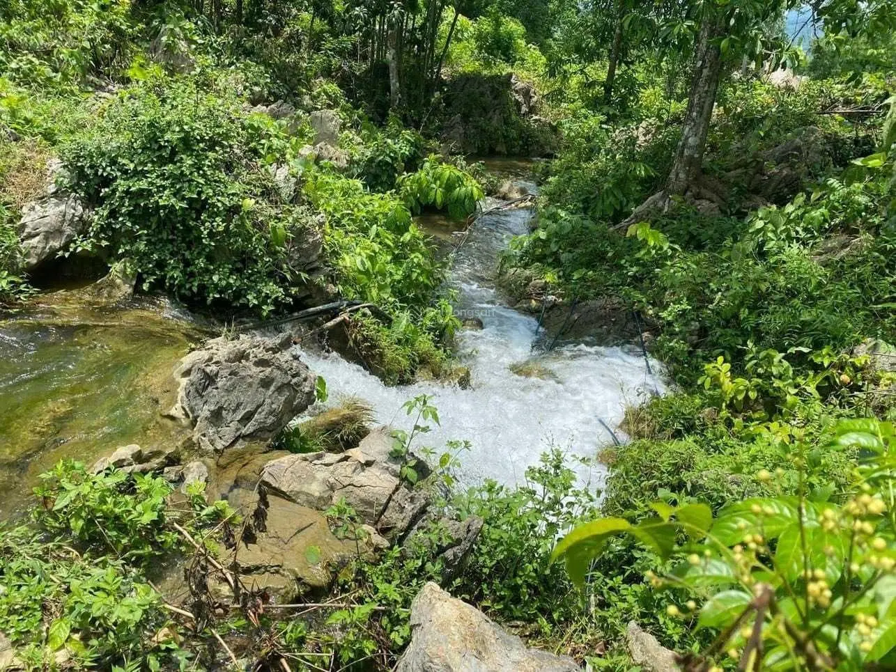 Bán đất tại Phú Vinh, Tân Lạc, Hòa Bình. Diện tích 5000m2, giá 1,6 tỷ