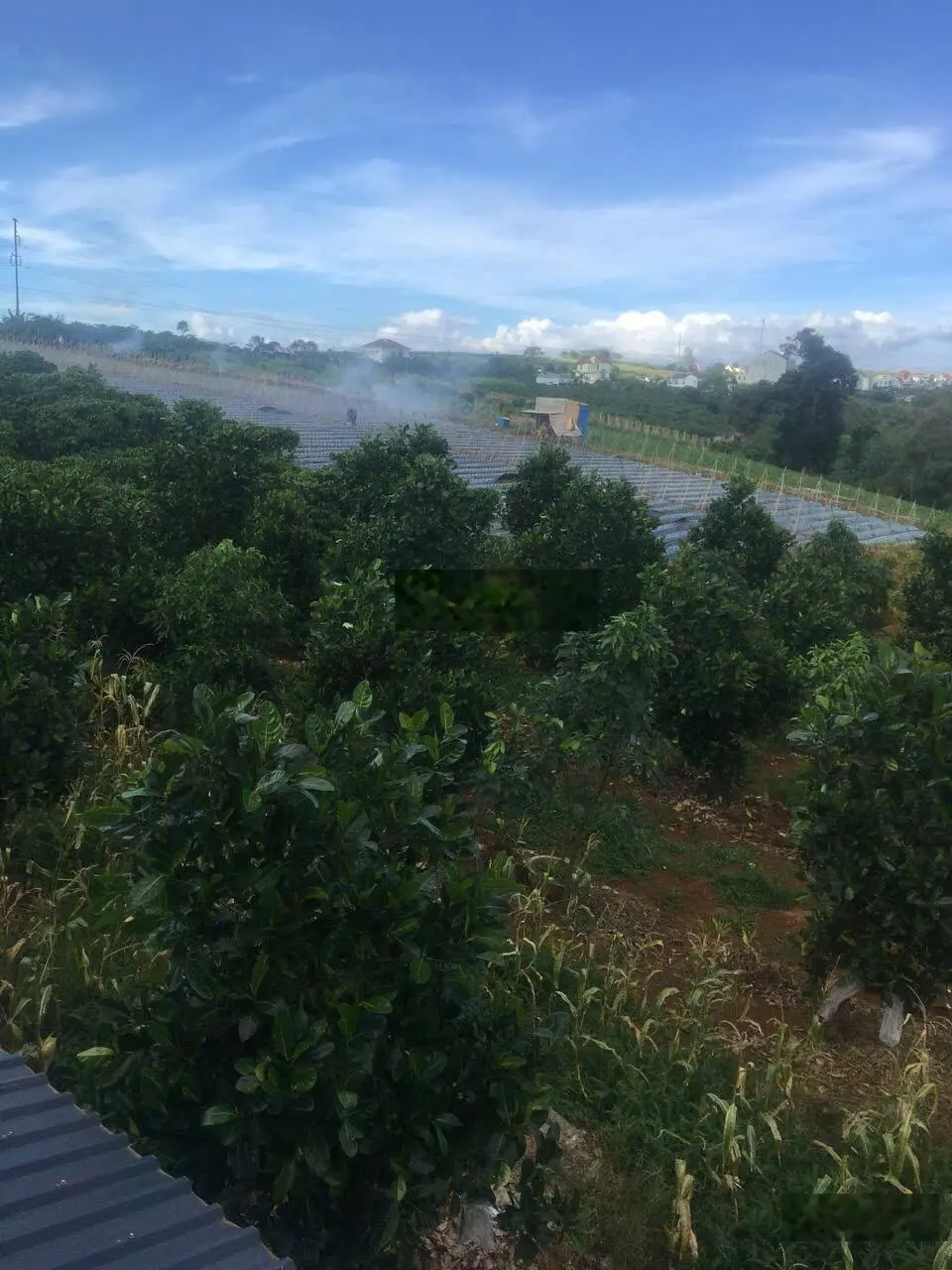 Cần bán đất view hồ Tây, Di Linh. Có thể thương lượng