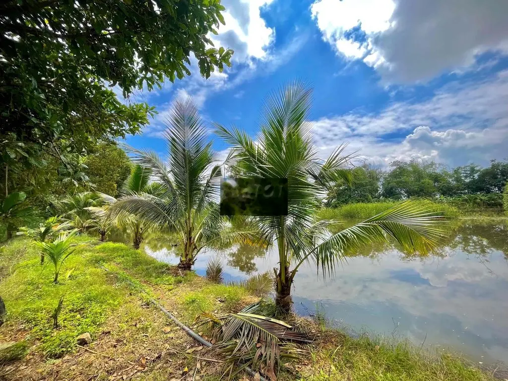 BÁN ĐẤT CHÍNH CHỦ VIEW HỒ TRỊ AN TẠI LA NGÀ - ĐỊNH QUÁN - ĐỒNG NAI