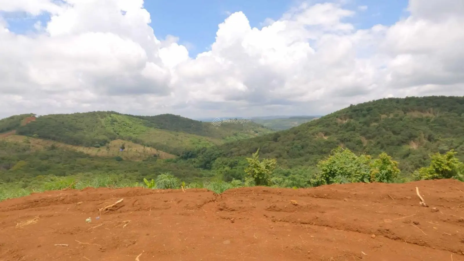 Bán đất Quảng Tân, 3.3Ha, 180m đường đang đổ bê tông, giá bán 1,35 tỷ