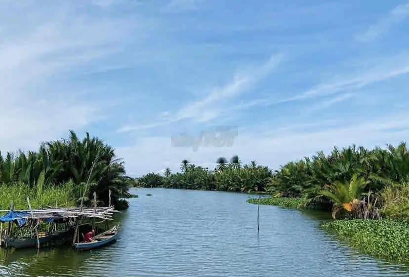 Đất nhà vườn ngang 10m view rừng dừa cực chill ven Hội An